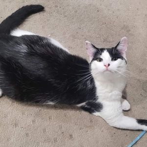 Meet your Posher, Emma